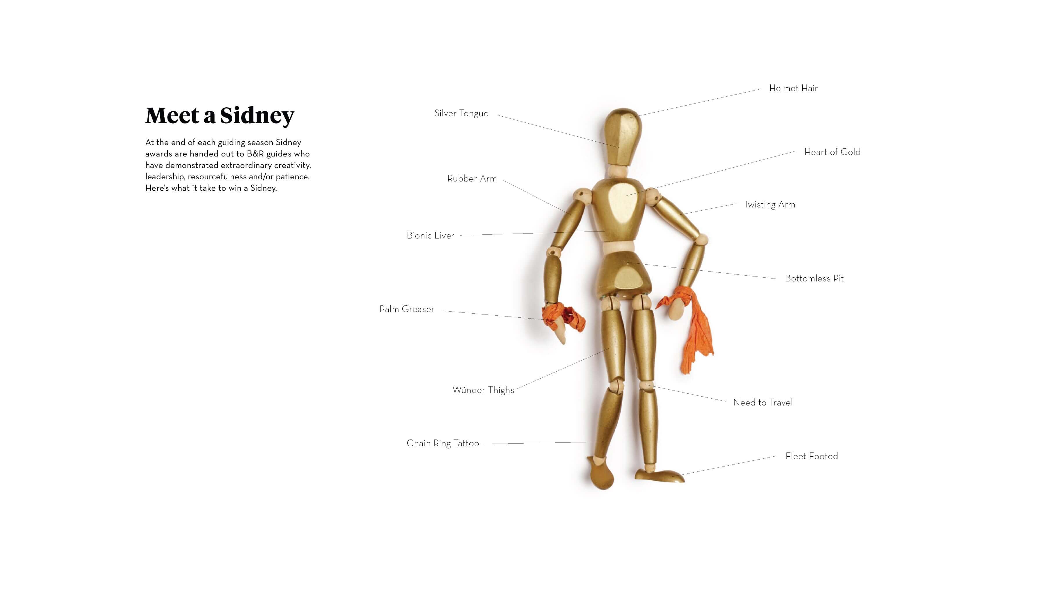 Sidney-50-tinypng