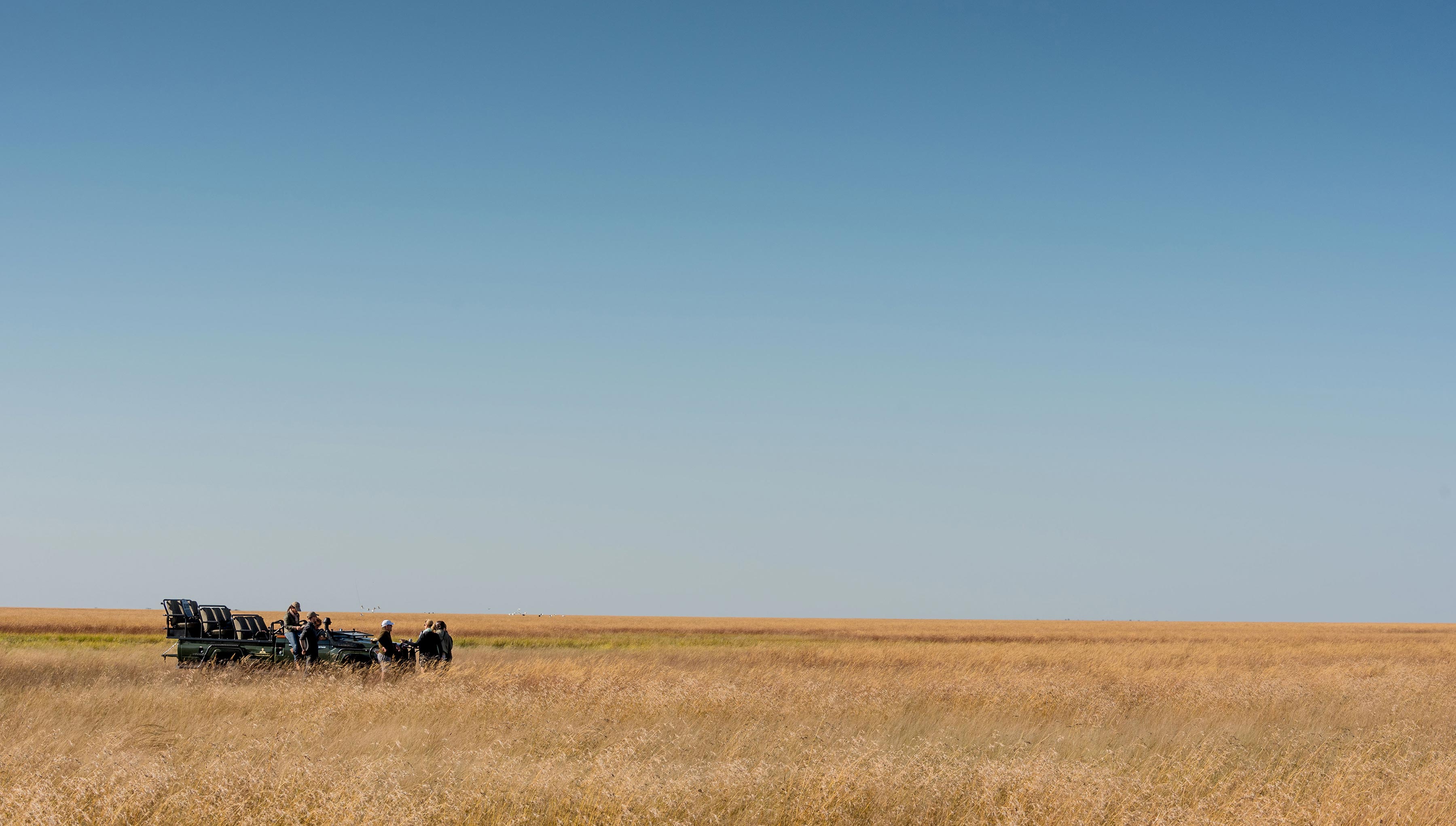 Grassland-tea-stop-1-50